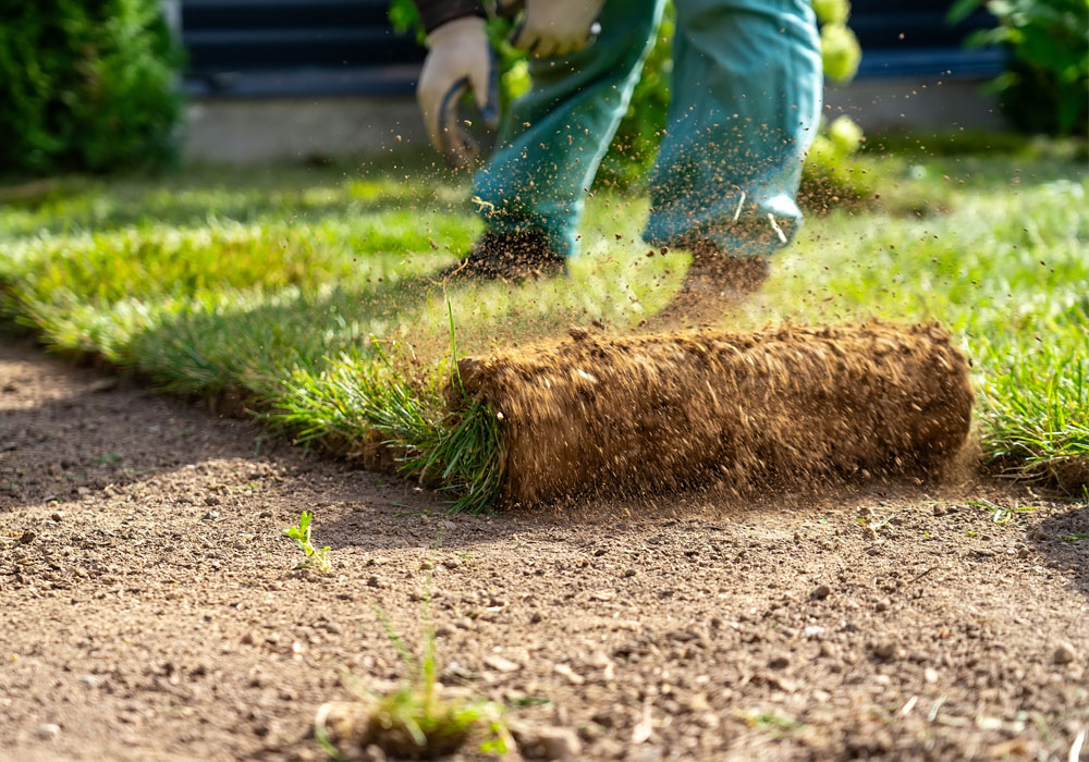 Green maintenance