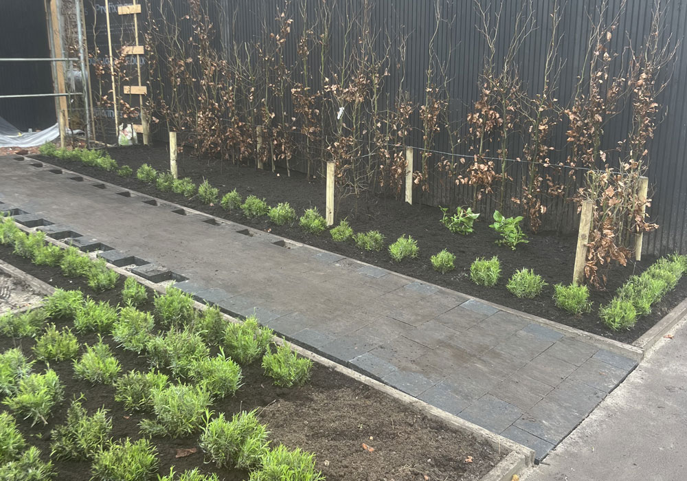 Green maintenance